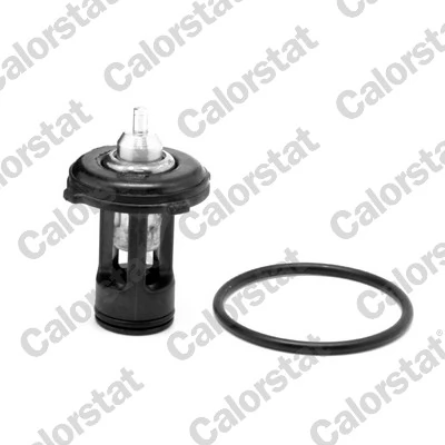 Thermostat, coolant